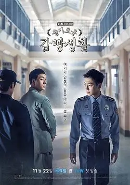 雾港迷城 热播电视剧全集在线观看